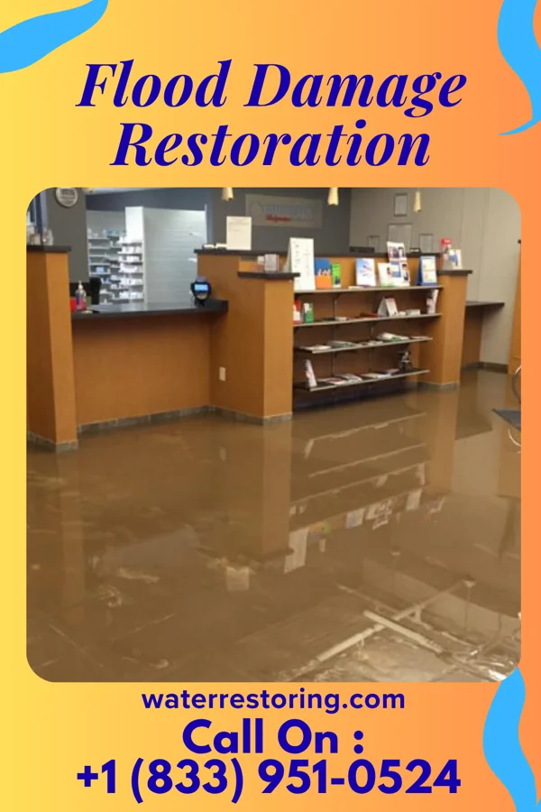 Flood Damage Restoration in Forrest, IL