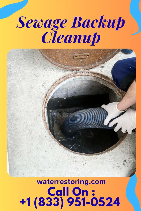 Sewage Backup Cleanup in Forrest, IL